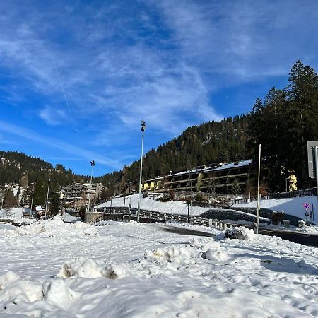 Mansarda Tra Le Dolomiti Di Brenta Lägenhet Bocenago Exteriör bild